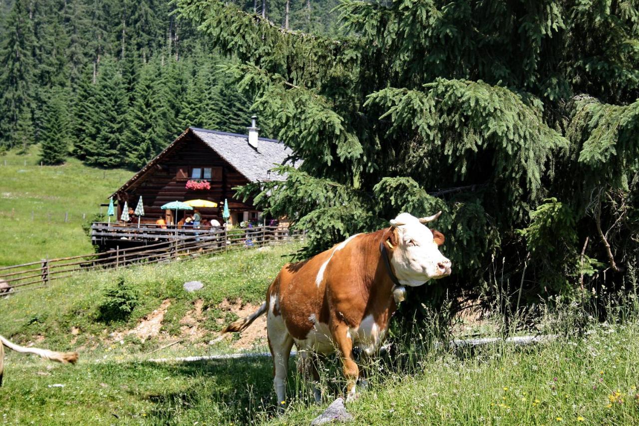 Chalet 164 Bad Goisern Luaran gambar